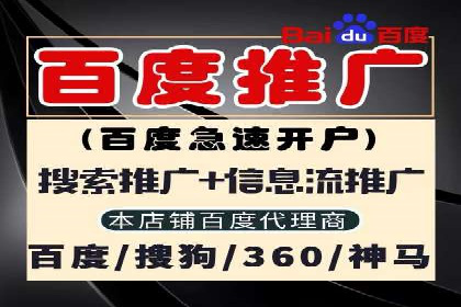 某某SEM服务公司成功案例：提升品牌曝光度